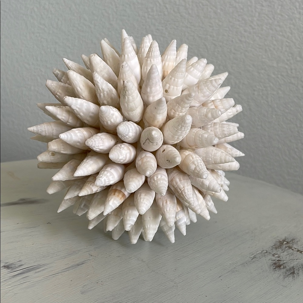 White Shell Decorative Sphere Beach Cottage Decor